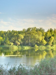 Фотография Северский Донец 