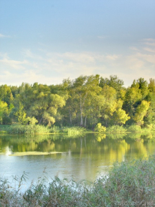 Фотография Северский Донец