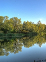 Северский донец