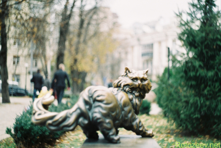 Киевский кот