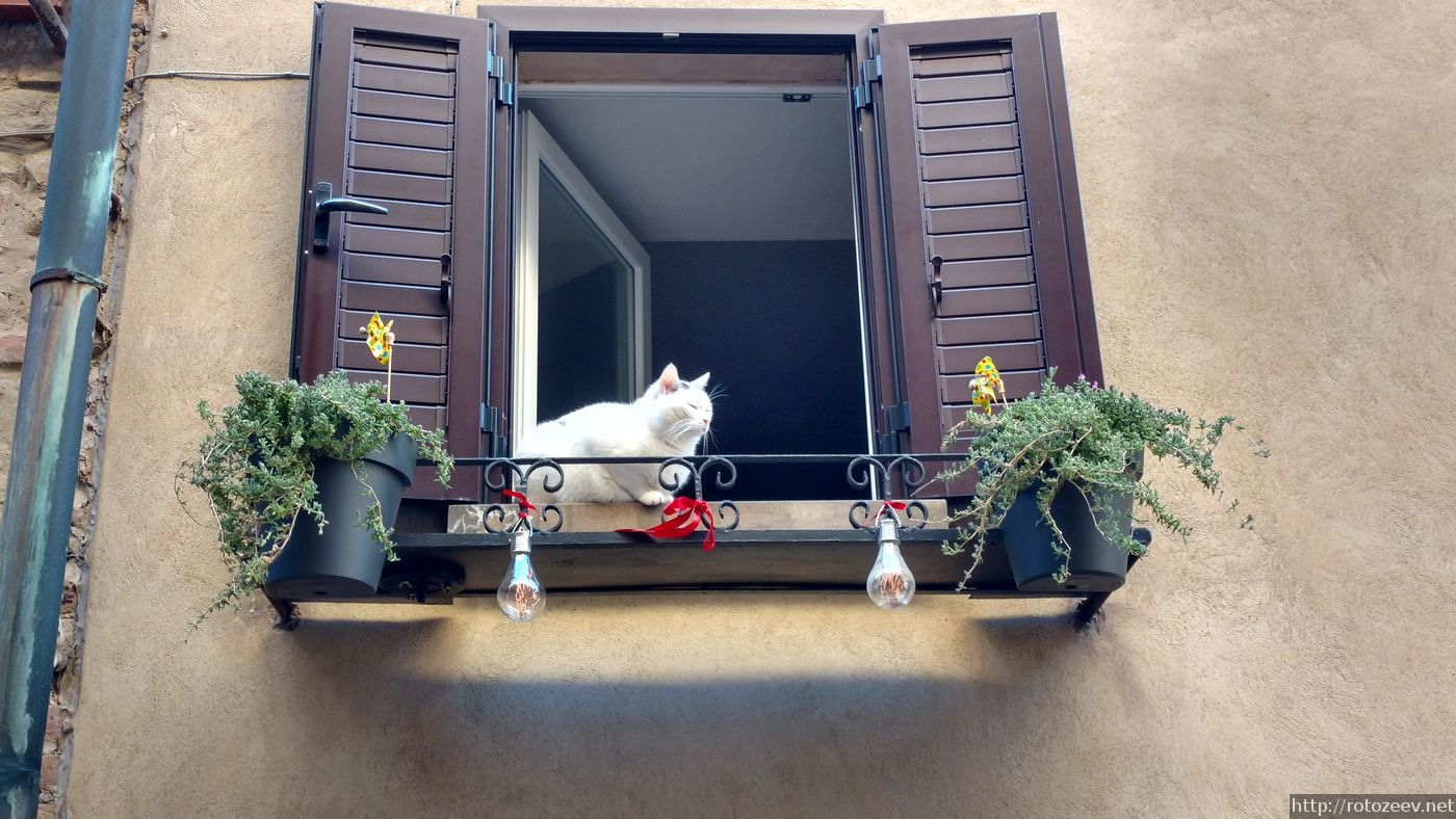 volterra_rotozeev.net_01