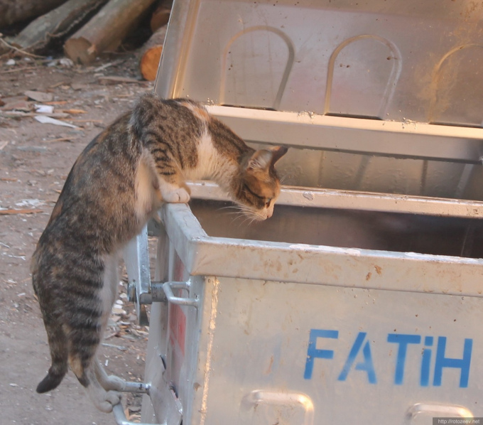 Istambul streets