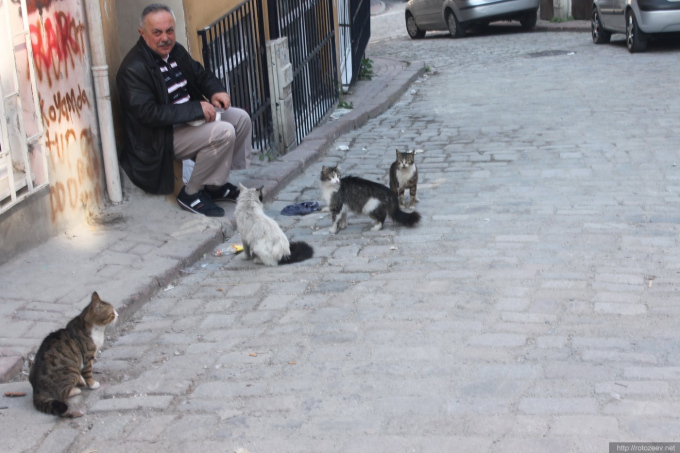 Istambul streets