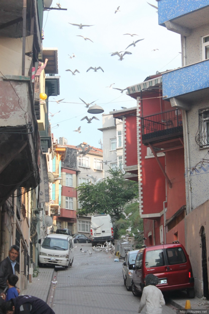 Istambul streets