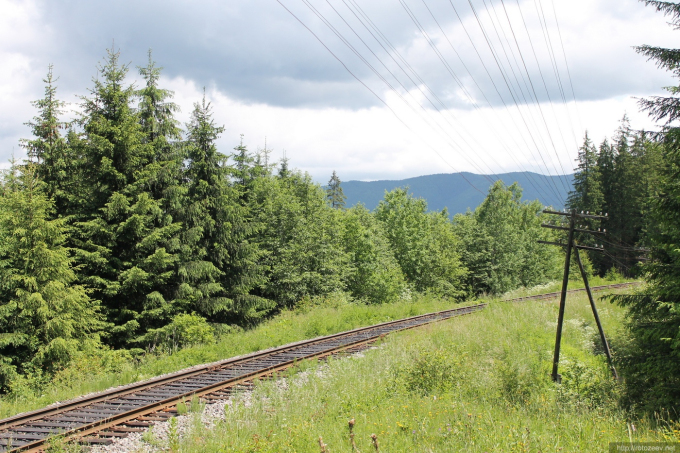 Carpathian mountains photo. Ukraine.