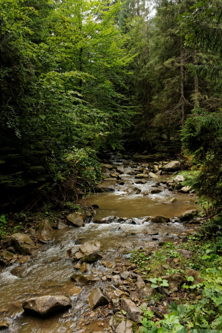 Гірська річка (Яблуницьке ПНДВ)