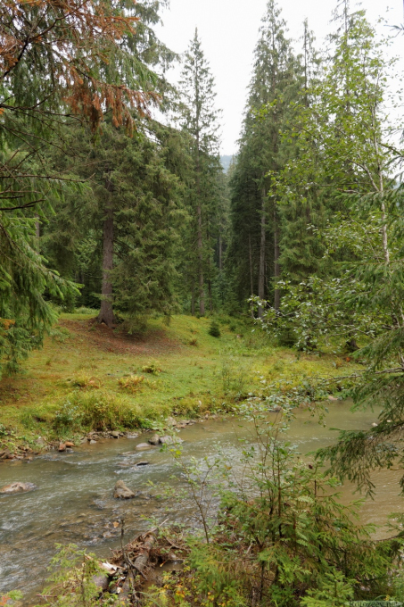 недалеко от Буковеля