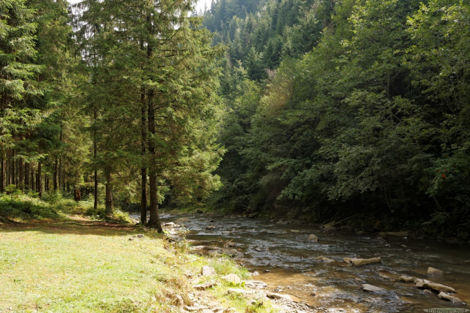 недалеко от Буковеля