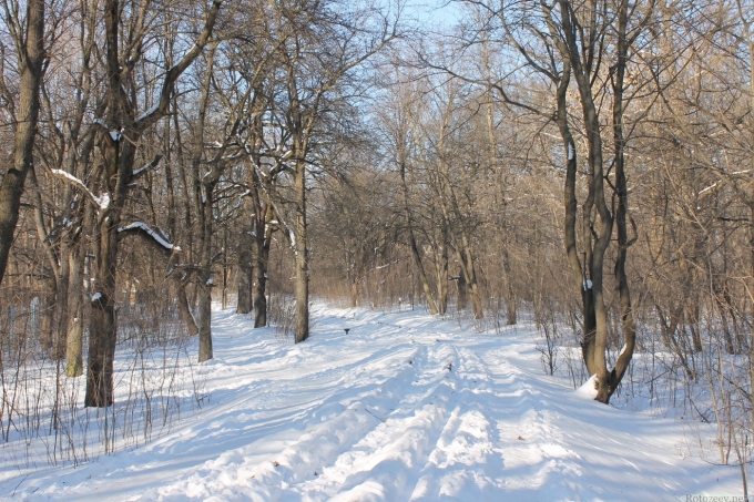 Харьков зимой 2014