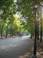Фото сада Шевченко