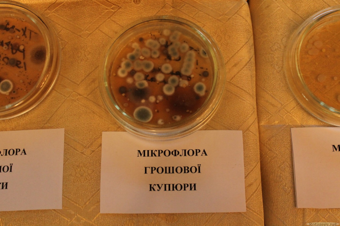 Ночь науки в Харькове 2013 - ХДУХТ