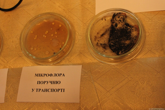 Ночь науки в Харькове 2013 - ХДУХТ