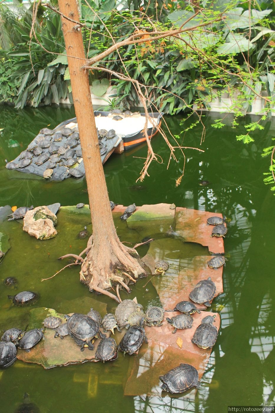 img_2016_madrid_atocha