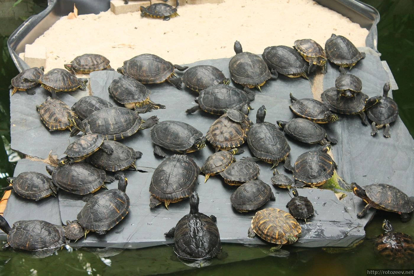 img_2023_madrid_atocha