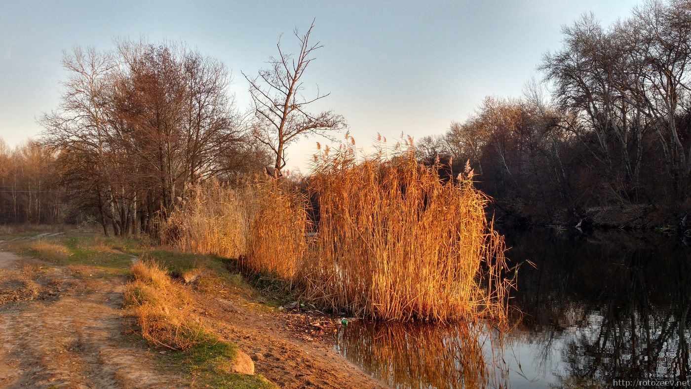 chuguev_figurovka_blog_rotozeev.net_03