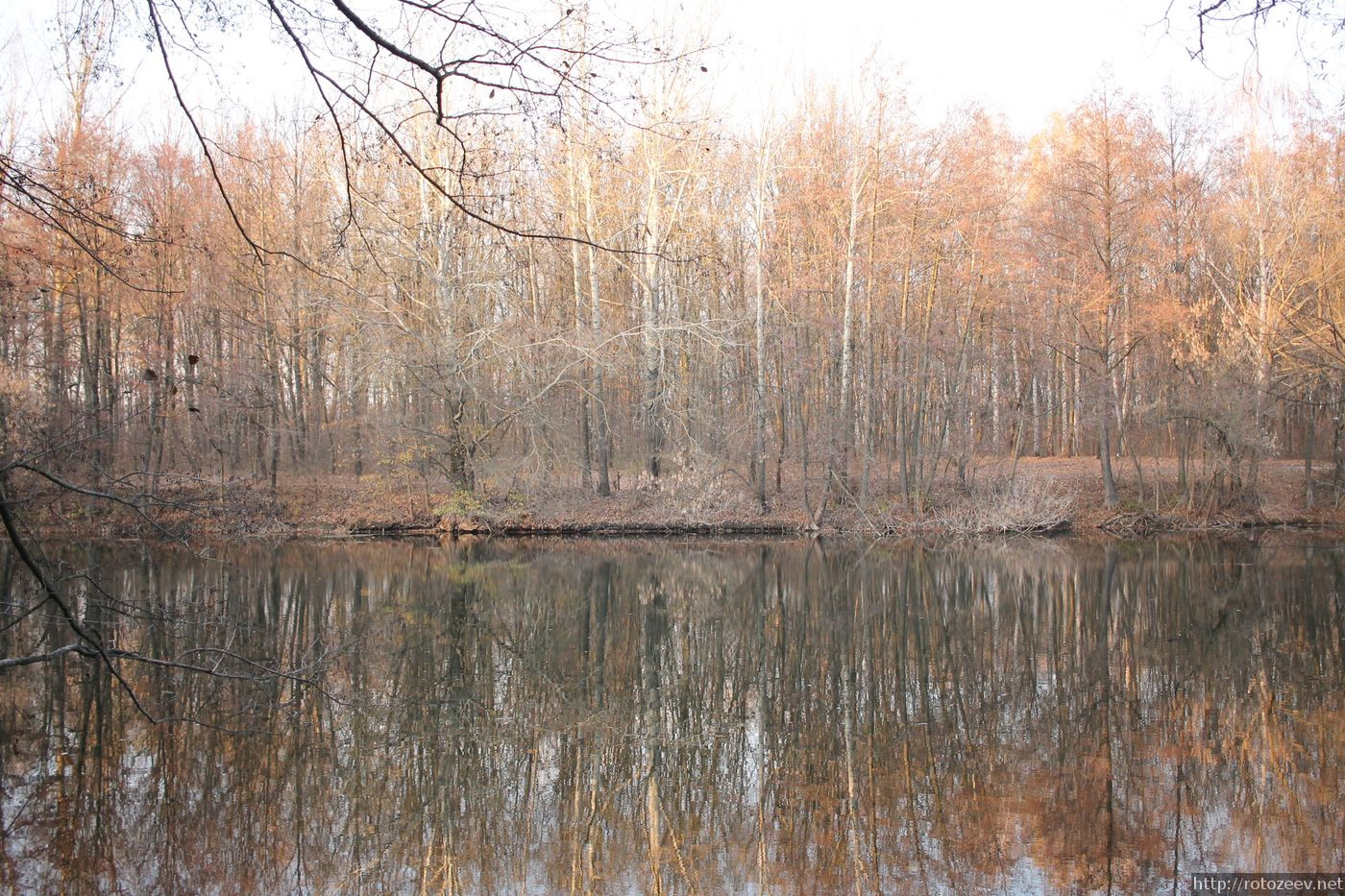 chuguev_figurovka_blog_rotozeev.net_05