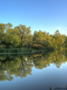 Северский донец