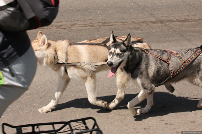Харьковский Велодень 2014
