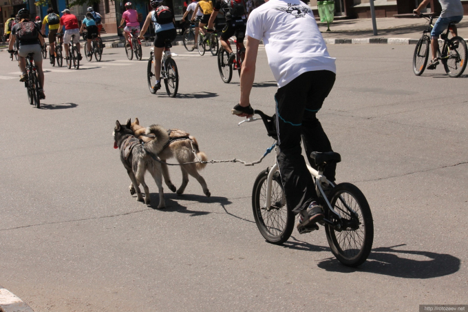 Харьковский Велодень 2014